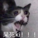 装呗我让你飞起来的头像