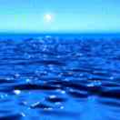 天殷的头像-熵减岛