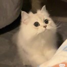 用户22028063的头像-梦马考研