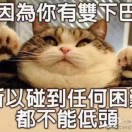陈陈
