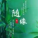 蒋女士的头像