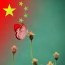 ღᩚ棒棒糖的头像-义乌朱哈网络科技