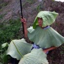 枭雄（登山汽修厂）