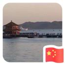 小马哥
