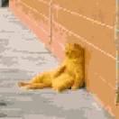 EZ4DZ的头像-助眠音声网