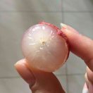 开发工程师
