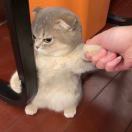 董先生的头像