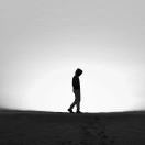 Plan A的头像_川汉子_A7资源网_Wordpress主题模板插件_小呆支付源码修正版_WP中文社区论坛主题_zibll主题_子比主题ripro日主题B2主题川汉子