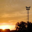 璀璨的头像-义乌朱哈网络科技