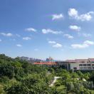 王老师的头像-熵减岛