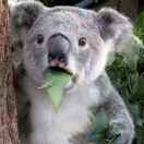 w8003的头像-梦楠分享