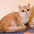 wdjkfig的头像-松纸工作室博客