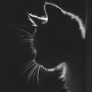 s0u1's Avatar
