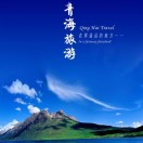赵先生的头像