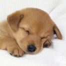 Dieter 闫的头像-cok论坛 - AGREE动漫游戏