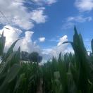 魯華生物～周越