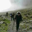 番茄的头像PNETLab模拟器-pnet模拟器-仿真模拟器-pnet-pnetlabPNETLAB模拟器