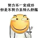 袁先生的头像