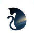 左手的头像-助眠音声网