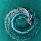 a~水到魚行