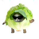 elliot's Avatar