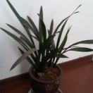 小雷的头像-博士钣金 - www.bsbanjin.com