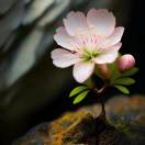 chris_686