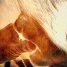 Profile picture of 274760172