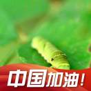 菜青虫的頭像