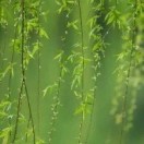 博藝廣告裝飾有限公司