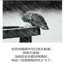 拼搏的心