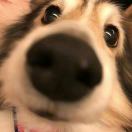Lu.