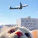 CherishMan's Avatar