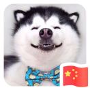 。