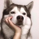 大姚的头像-梦马考研