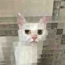 .的钢琴谱