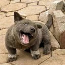 Wuuuuuu