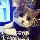 執(zhí)念