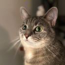 用户74664196的头像-秀琴曲谱网