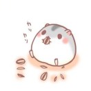 齐俊