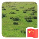 前方有红灯的头像-战友联盟