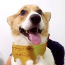 黄阿林的头像-风行者社区