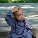 网络不死鸟的头像-秀琴曲谱网