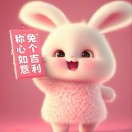 如意如意隨我心意