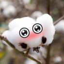 FlyAupe's Avatar