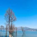 时光的头像-宋播播带货工作室