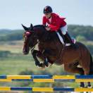 用户20463720的头像-熵减岛