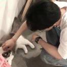 逸染清风