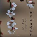wx_刘东明11