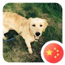 wx_张奇伟29